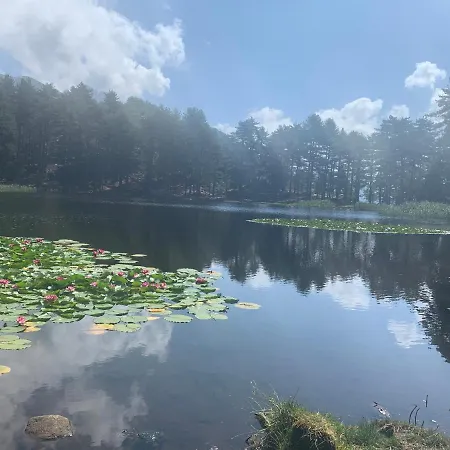 Bed & Breakfast U Mo Sognu