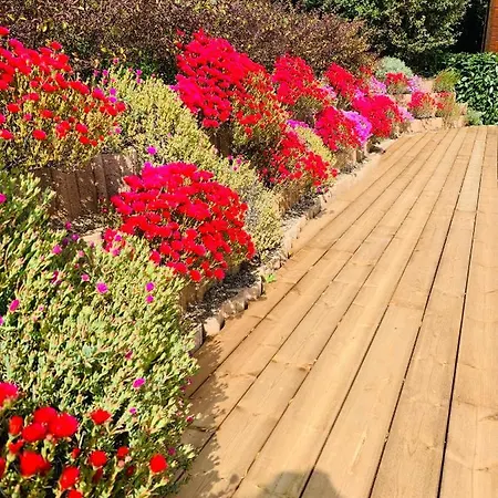 Bed & Breakfast U Mo Sognu Murzo