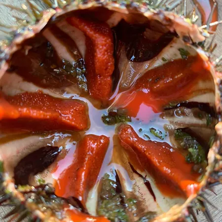 Bed & Breakfast U Mo Sognu Murzo