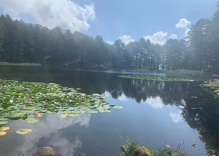 Alojamento de Acomodação e Pequeno-almoço U Mo Sognu
