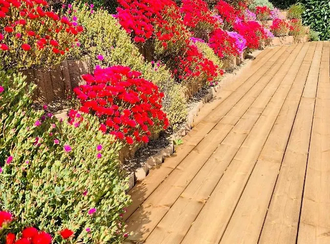 Alojamento de Acomodação e Pequeno-almoço U Mo Sognu Murzo