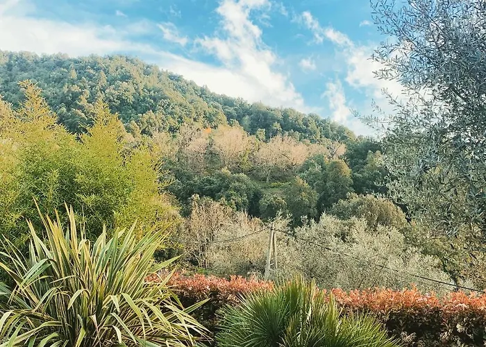 Alojamento de Acomodação e Pequeno-almoço U Mo Sognu