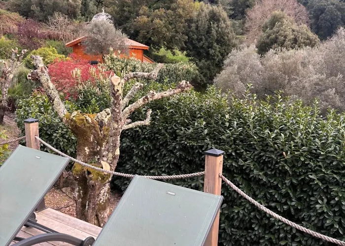 U Mo Sognu Alojamento de Acomodação e Pequeno-almoço